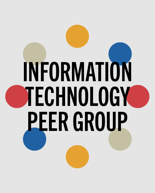 IT Peer Group_2024_featured